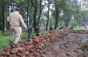 वन विभाग की बड़ी कार्रवाई: अवैध अतिक्रमण हटाकर वनभूमि कराई मुक्त, तत्काल शुरू किया गया पौधरोपण